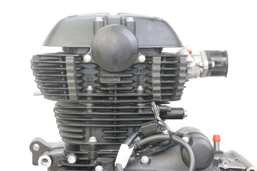 photo de MOTORE ROYAL ENFIELD HYMALAYAN 410 (2016 - 2023)