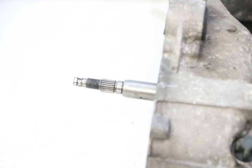 photo de MOTORE GILERA RUNNER SP 50 (2009 - 2017)