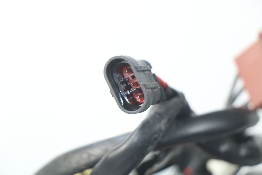 photo de MOTORE PEUGEOT SATELIS 300 (2012 - 2015)