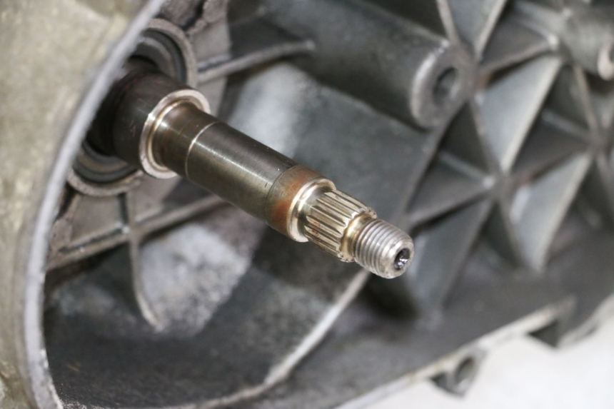 photo de MOTORE PEUGEOT SATELIS 125 (2006 - 2009)