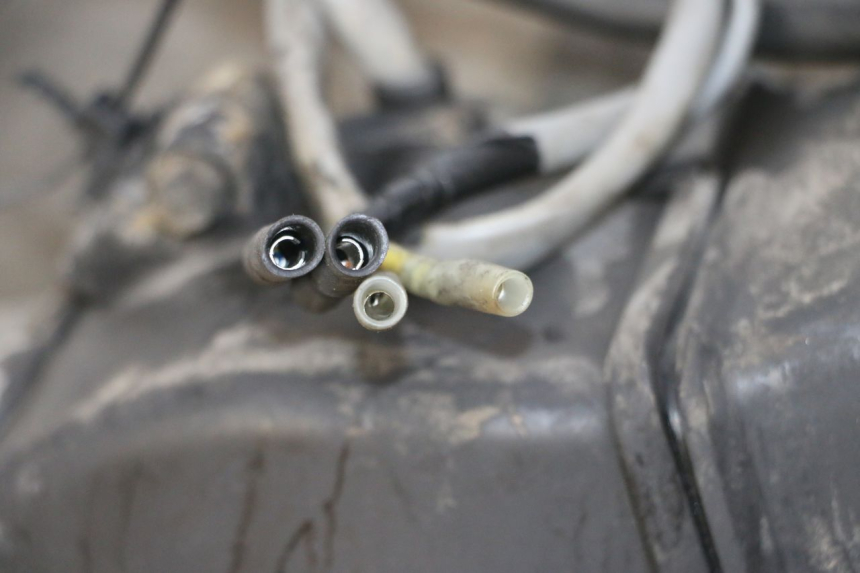 photo de MOTORE HONDA SCV LEAD 100 (2003 - 2007)