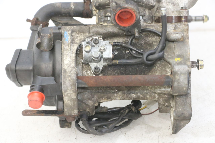 photo de MOTORE PEUGEOT SPEEDFIGHT 2 LC 50 (2000 - 2009)