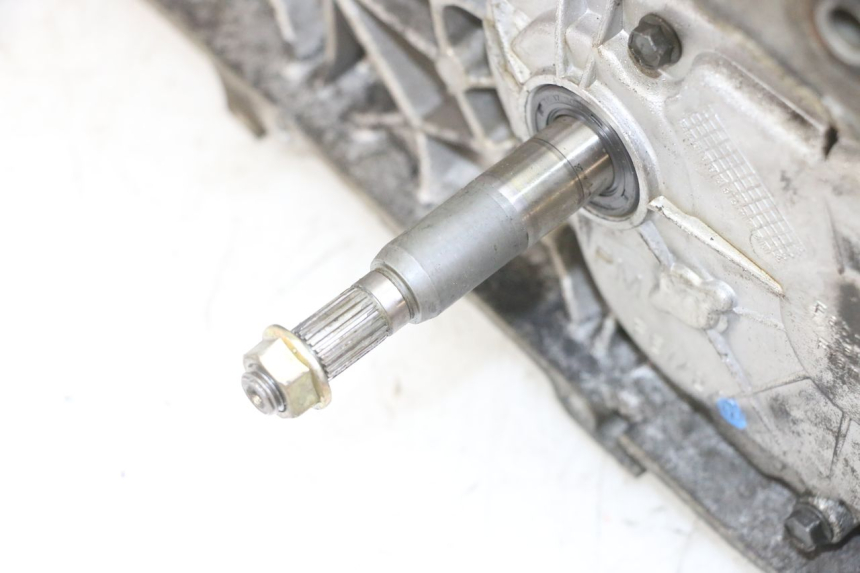 photo de MOTORE PEUGEOT SPEEDFIGHT 2 LC 50 (2000 - 2009)