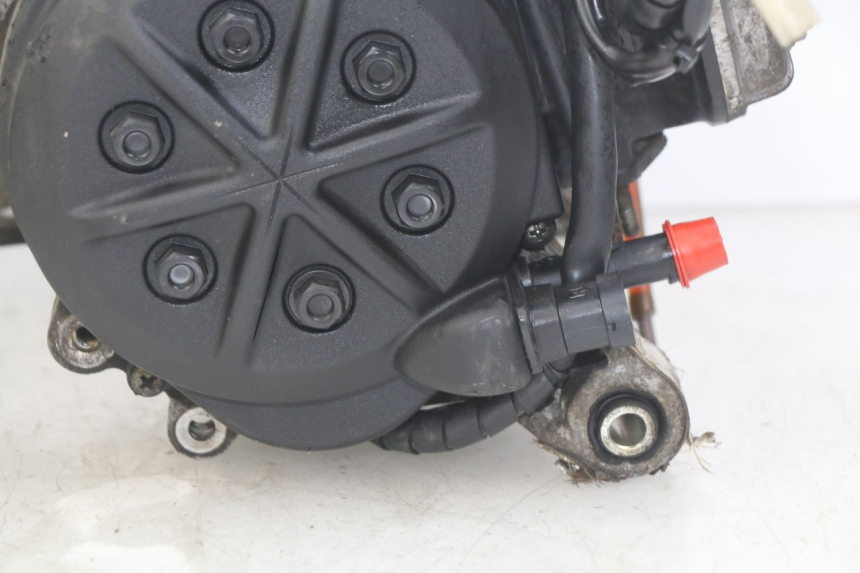 photo de MOTORE APRILIA SR R 2T LC 50 (2018 - 2021)