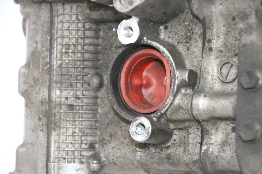 photo de MOTORE SUZUKI SV S 650 (2003 - 2009)