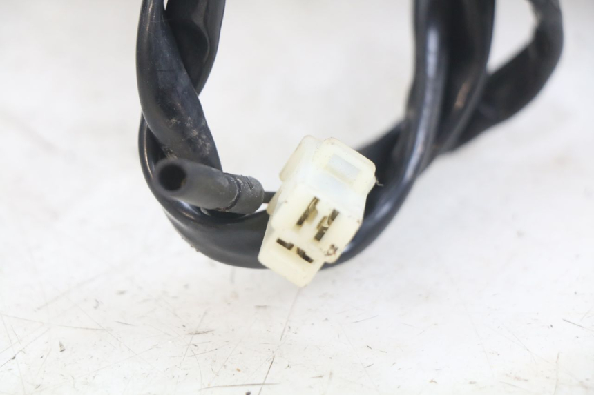 photo de MOTORE PEUGEOT TREKKER 50 (1998 - 2004)