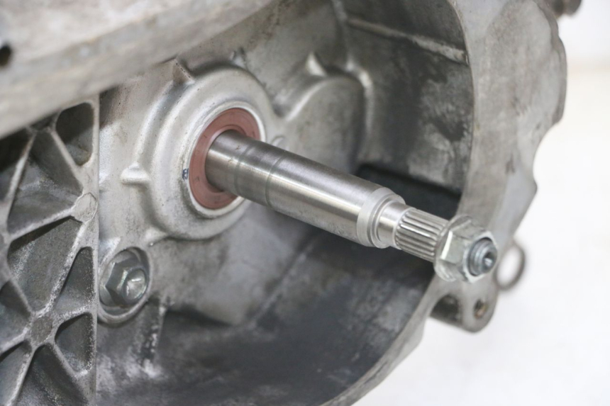 photo de MOTORE PEUGEOT TWEET 4T 50 (2014 - 2019)