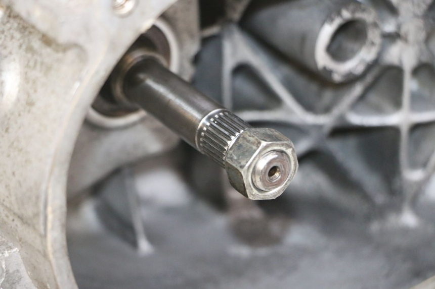photo de MOTORE PEUGEOT TWEET 4T 50 (2014 - 2019)