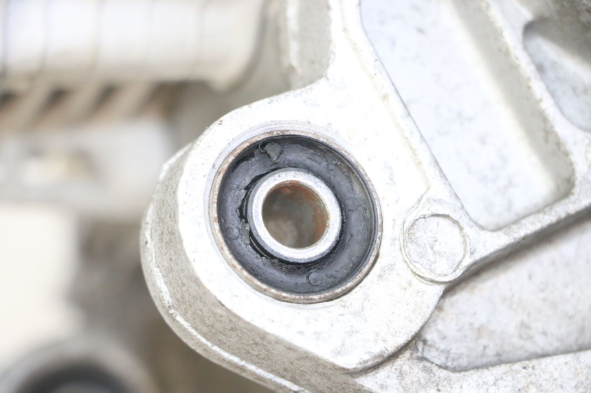 photo de MOTORE PEUGEOT TWEET 4T 50 (2014 - 2019)