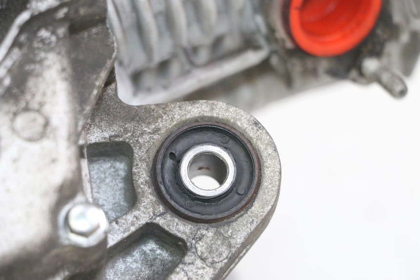 photo de MOTORE PEUGEOT TWEET 4T 50 (2014 - 2019)