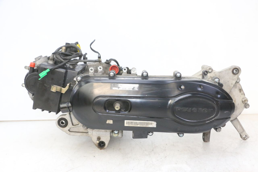 photo de MOTORE PEUGEOT TWEET 4T 50 (2018 - 2020)