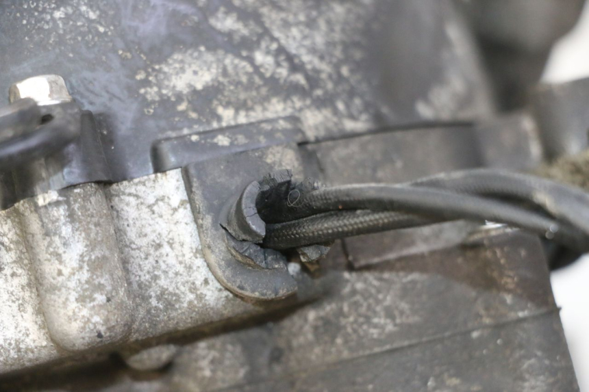 photo de MOTORE PEUGEOT TWEET 4T 50 (2018 - 2020)