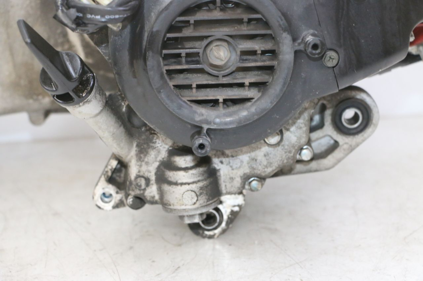 photo de MOTORE PEUGEOT TWEET 4T 50 (2018 - 2020)