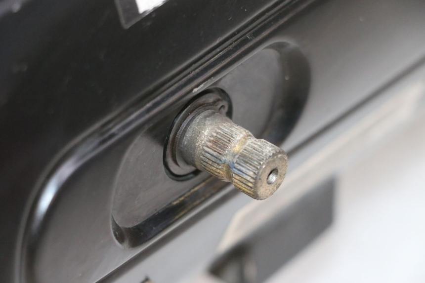 photo de MOTORE PEUGEOT TWEET 4T 50 (2018 - 2020)