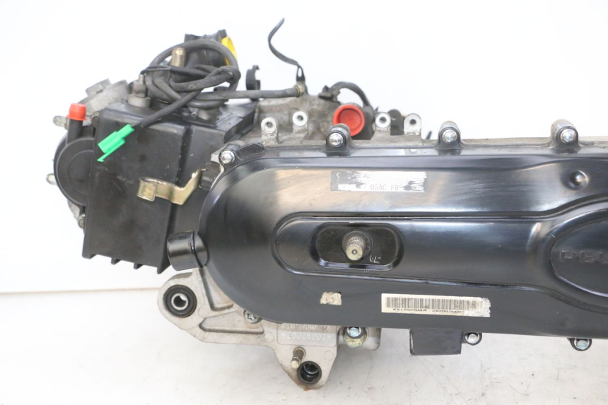 photo de MOTORE PEUGEOT TWEET 4T 50 (2018 - 2020)