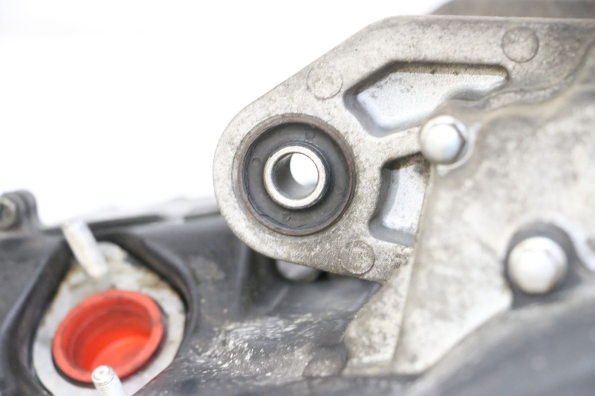 photo de MOTORE PEUGEOT TWEET 4T 50 (2018 - 2020)