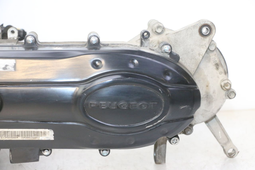 photo de MOTORE PEUGEOT TWEET 4T 50 (2018 - 2020)