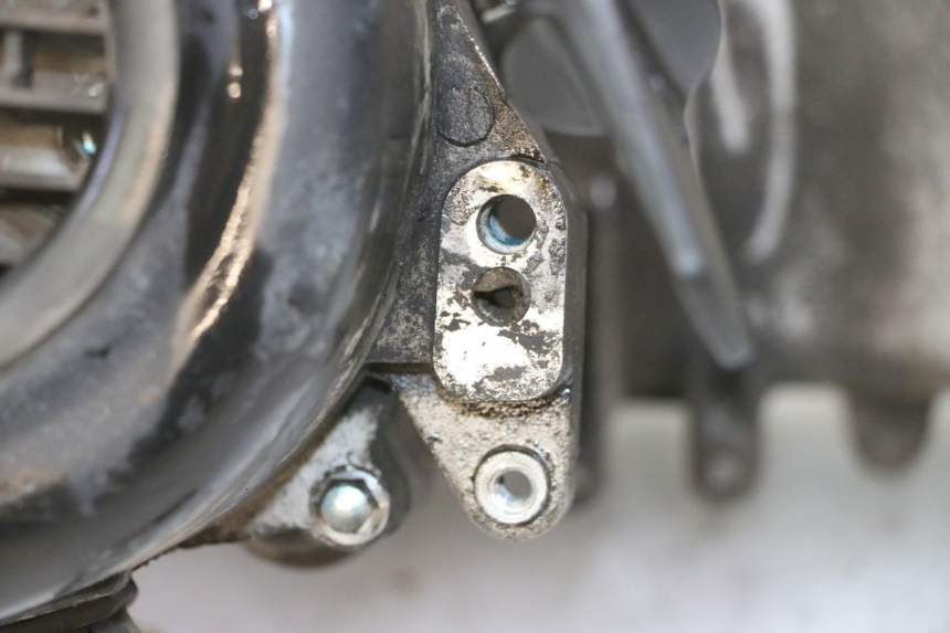 photo de MOTORE PEUGEOT TWEET 4T 50 (2018 - 2020)