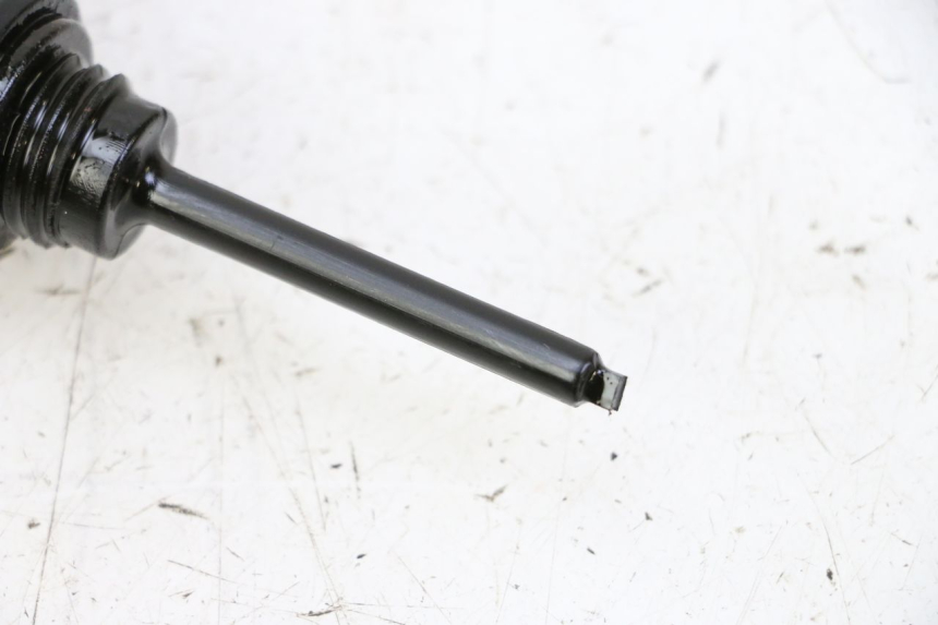 photo de MOTORE PEUGEOT TWEET PRO CARGO 50 (2018 - 2020)