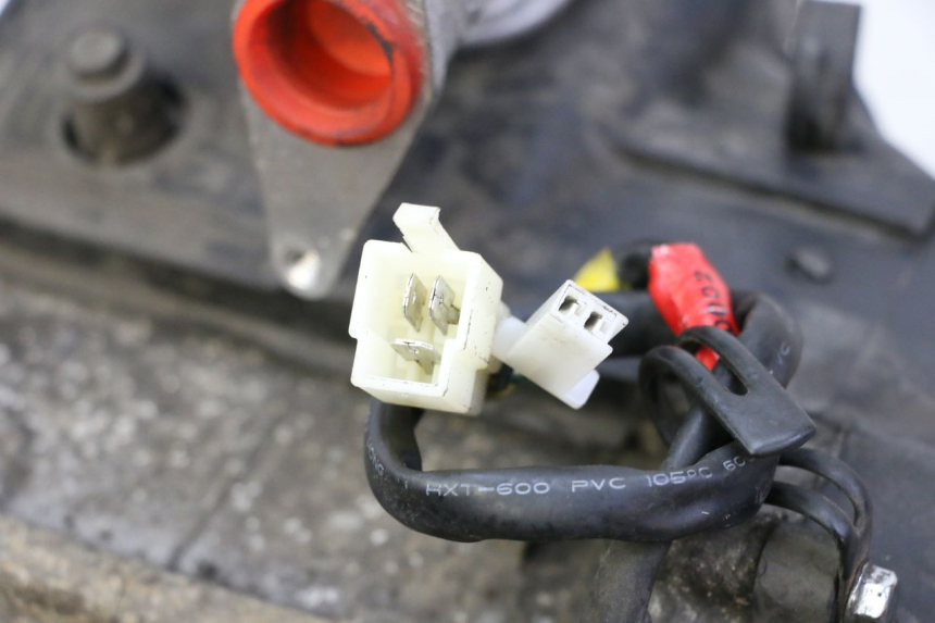 photo de MOTORE PEUGEOT TWEET PRO CARGO 50 (2018 - 2020)