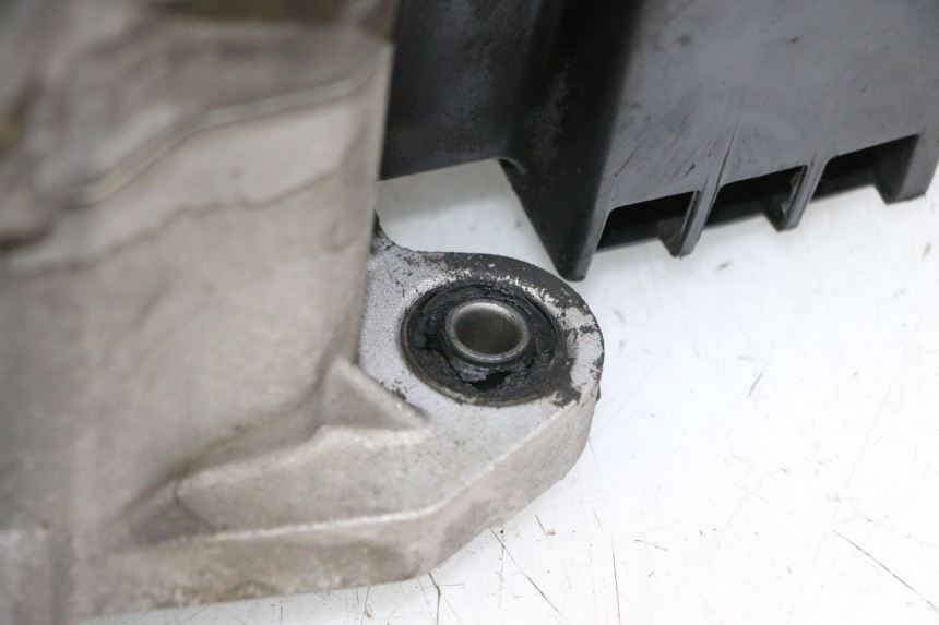 photo de MOTORE PEUGEOT TWEET PRO CARGO 50 (2018 - 2020)