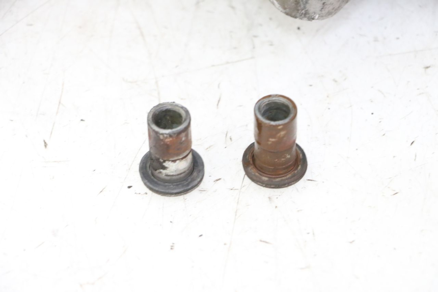 photo de MOTORE PEUGEOT TWEET PRO CARGO 50 (2018 - 2020)