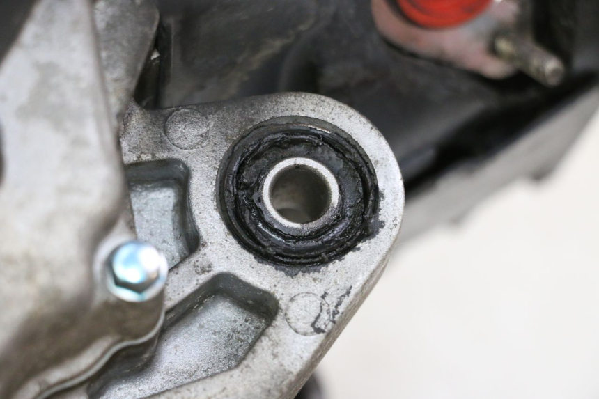 photo de MOTORE PEUGEOT TWEET PRO CARGO 50 (2018 - 2020)