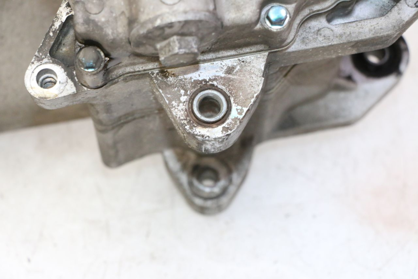 photo de MOTORE PEUGEOT TWEET PRO CARGO 50 (2018 - 2020)