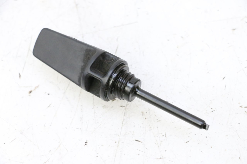 photo de MOTORE PEUGEOT TWEET PRO CARGO 50 (2018 - 2020)