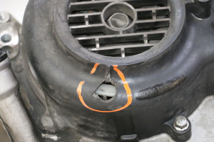 photo de MOTORE PEUGEOT TWEET PRO CARGO 50 (2018 - 2020)