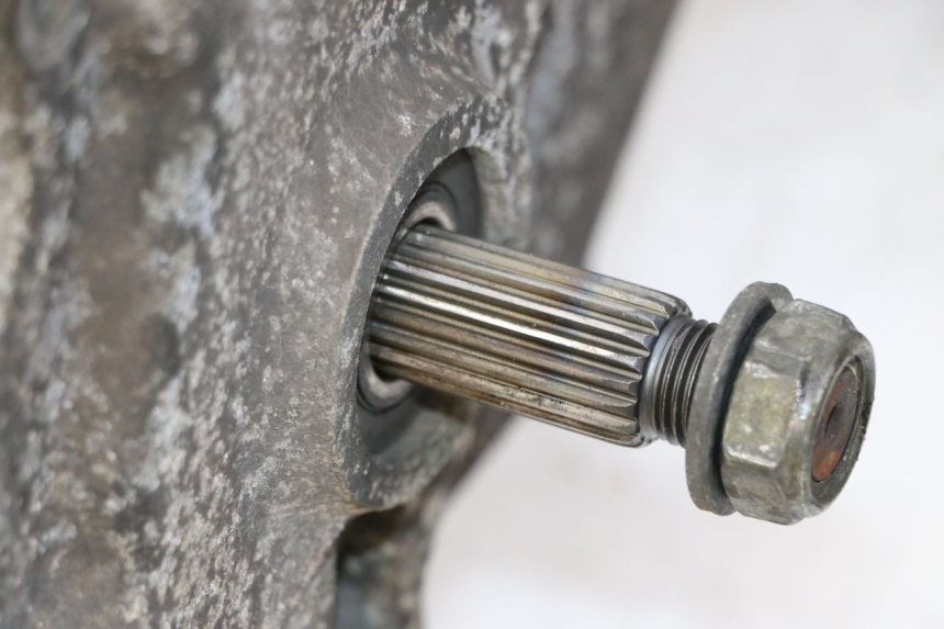 photo de MOTORE PEUGEOT TWEET PRO CARGO 50 (2018 - 2020)