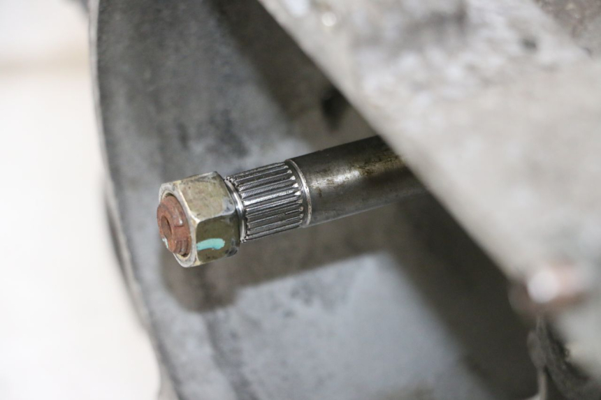 photo de MOTORE PEUGEOT TWEET PRO CARGO 50 (2018 - 2020)