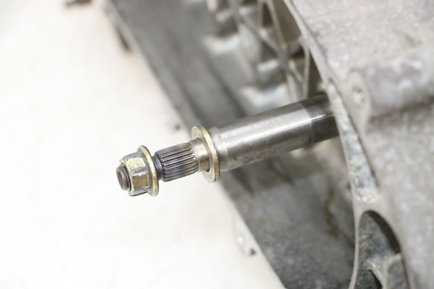 photo de MOTORE PEUGEOT TWEET PRO CARGO 50 (2018 - 2020)