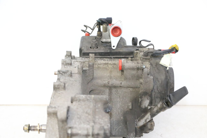 photo de MOTORE PEUGEOT TWEET PRO CARGO 50 (2018 - 2020)