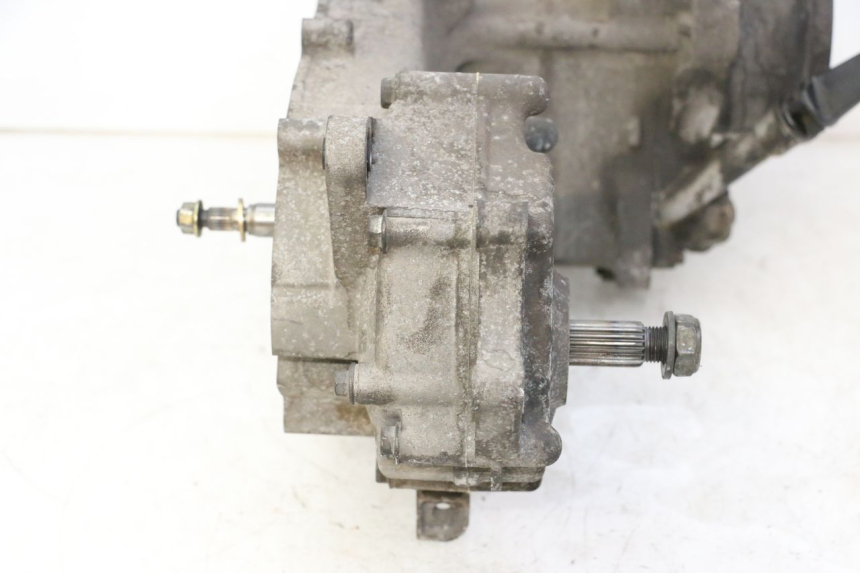 photo de MOTORE PEUGEOT TWEET PRO CARGO 50 (2018 - 2020)