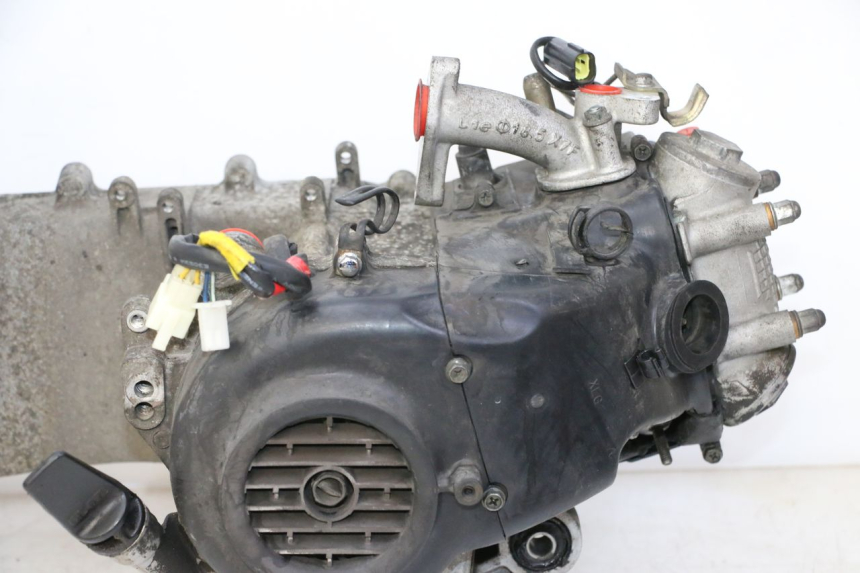 photo de MOTORE PEUGEOT TWEET PRO CARGO 50 (2018 - 2020)