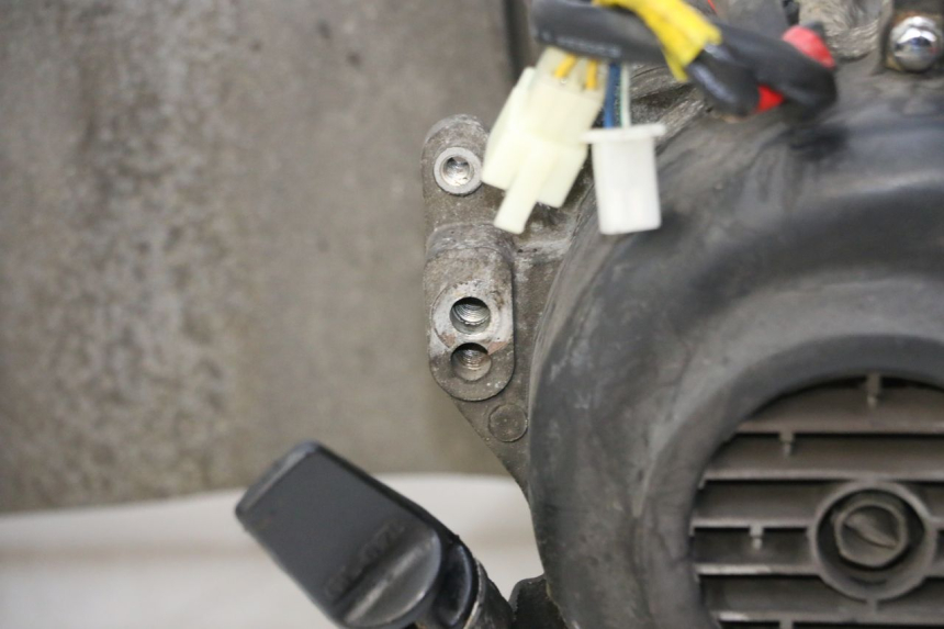 photo de MOTORE PEUGEOT TWEET PRO CARGO 50 (2018 - 2020)