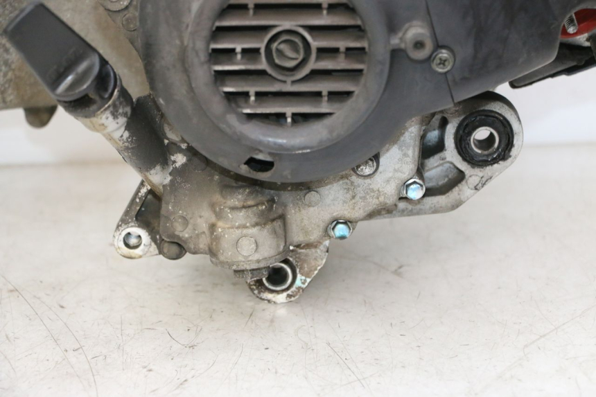 photo de MOTORE PEUGEOT TWEET PRO CARGO 50 (2018 - 2020)