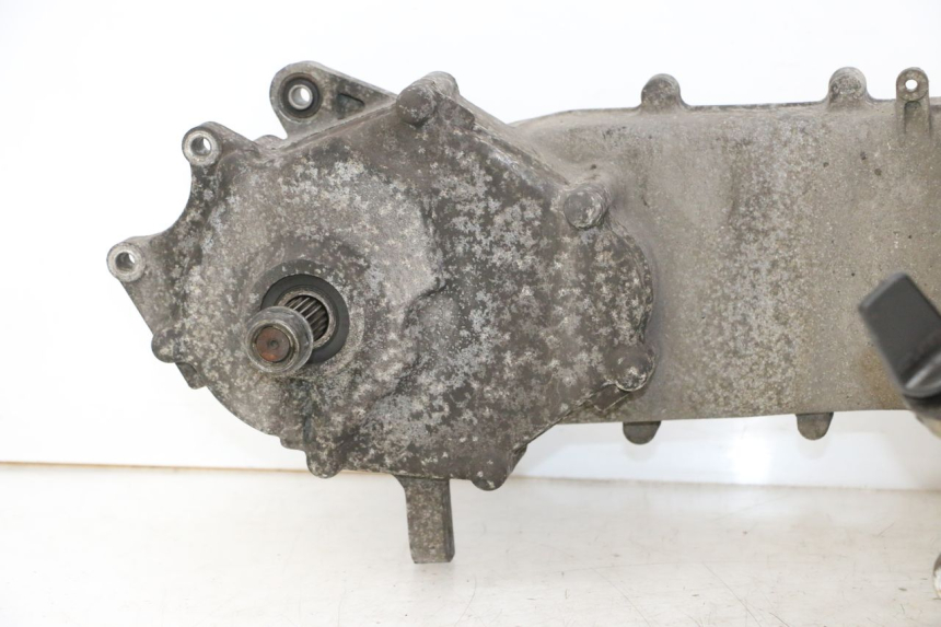 photo de MOTORE PEUGEOT TWEET PRO CARGO 50 (2018 - 2020)