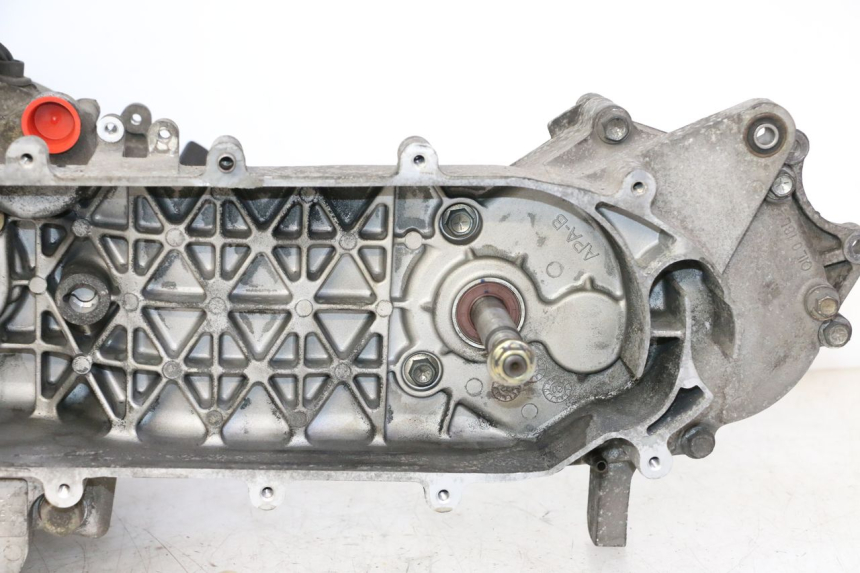 photo de MOTORE PEUGEOT TWEET PRO CARGO 50 (2018 - 2020)