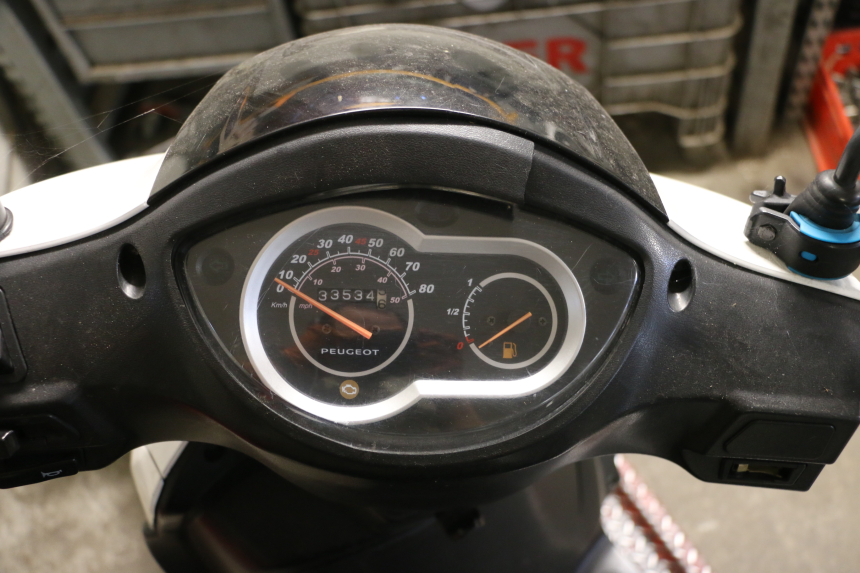 photo de MOTORE PEUGEOT TWEET PRO CARGO 50 (2018 - 2020)