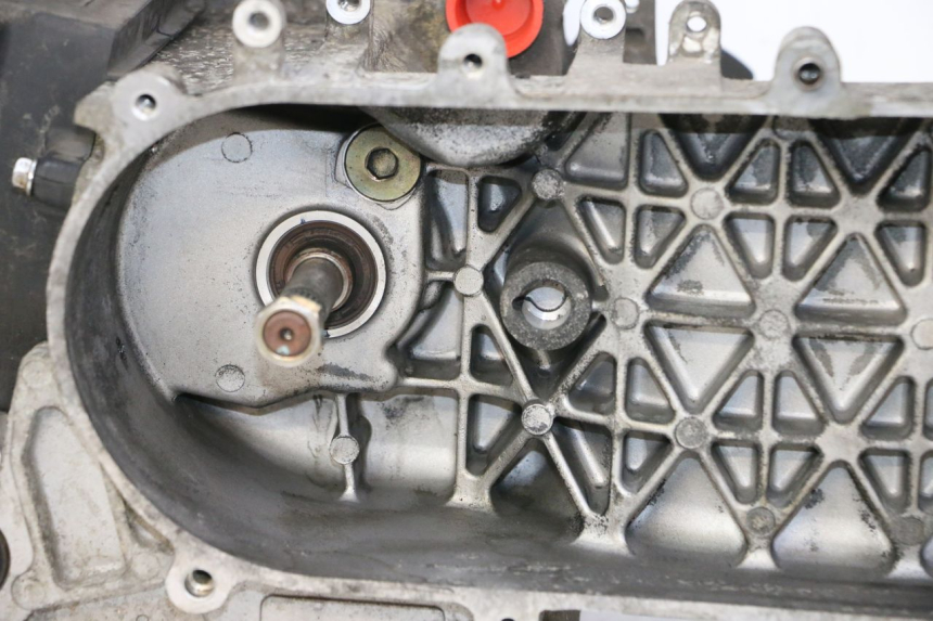 photo de MOTORE PEUGEOT TWEET PRO CARGO 50 (2018 - 2020)