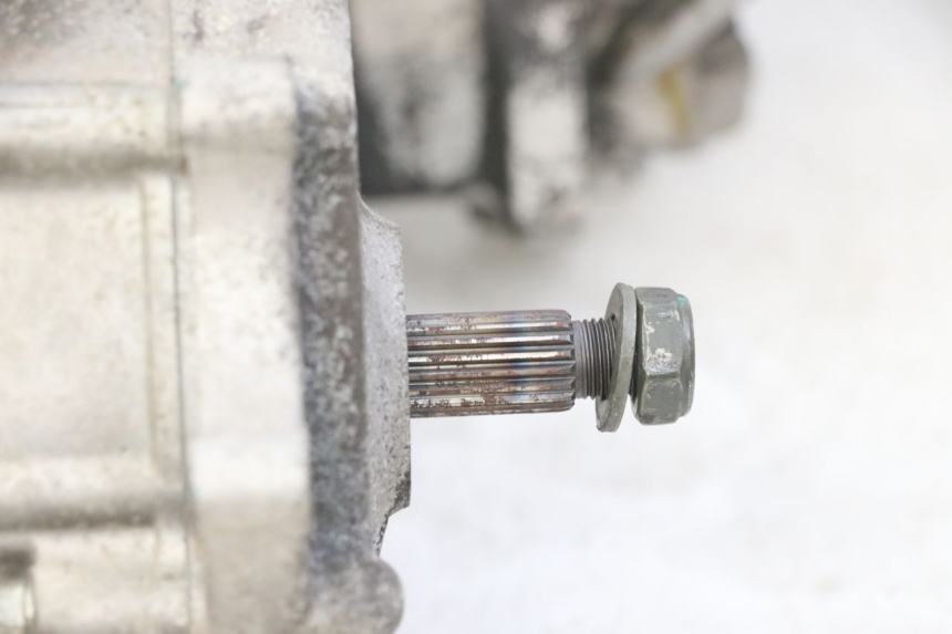 photo de MOTORE PEUGEOT TWEET PRO EFI 4T 50 (2021 - 2022)