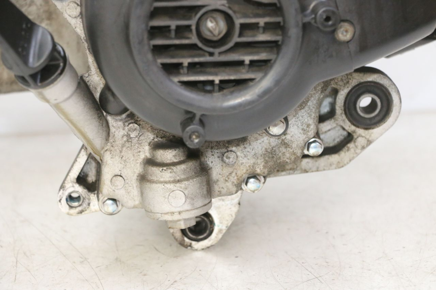 photo de MOTORE PEUGEOT TWEET PRO EFI 4T 50 (2021 - 2022)