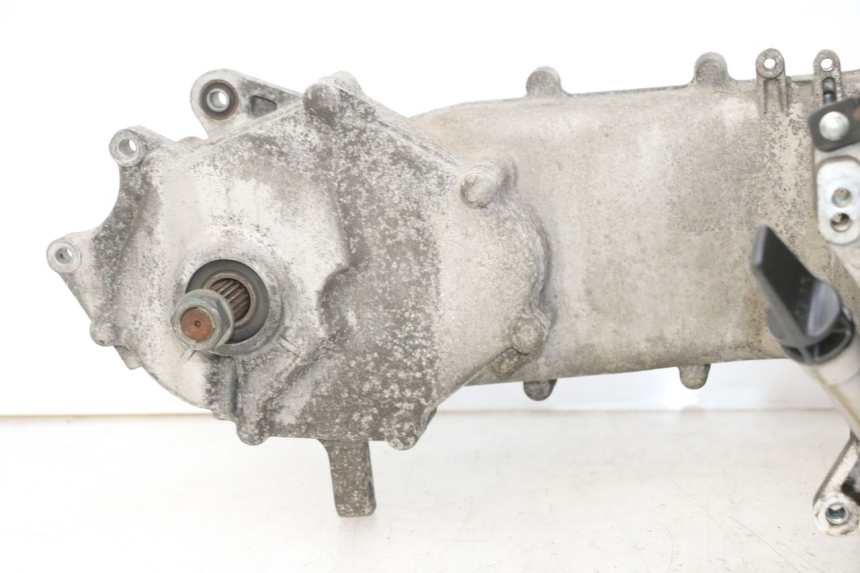 photo de MOTORE PEUGEOT TWEET PRO EFI 4T 50 (2021 - 2022)