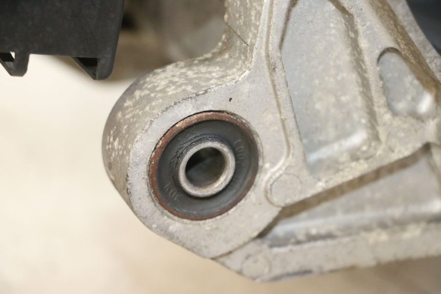 photo de MOTORE PEUGEOT TWEET PRO EFI 4T 50 (2021 - 2022)