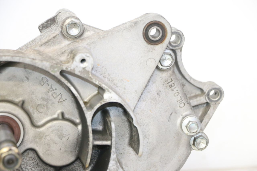 photo de MOTORE PEUGEOT TWEET PRO EFI 4T 50 (2021 - 2022)