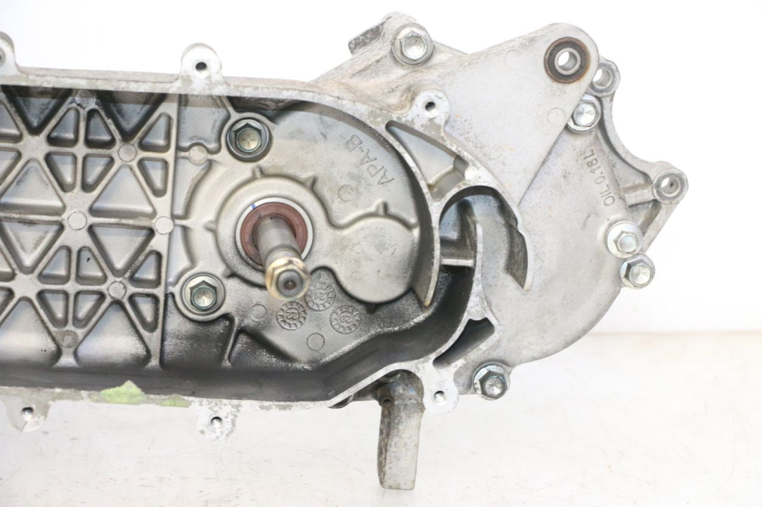 photo de MOTORE PEUGEOT TWEET PRO EFI 4T 50 (2021 - 2022)