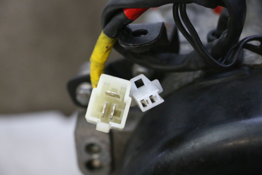 photo de MOTORE PEUGEOT TWEET PRO EFI 4T 50 (2021 - 2022)