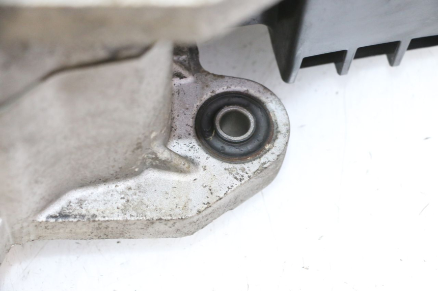 photo de MOTORE PEUGEOT TWEET PRO EFI 4T 50 (2021 - 2022)